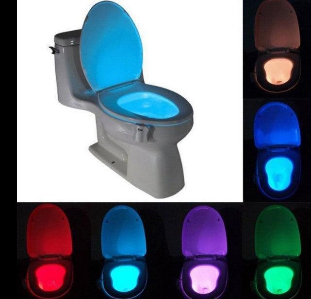 Toilet Induction Lamp - Phantom of the Vogue